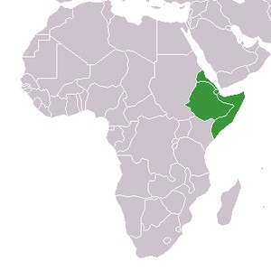 Corno d'Africa. 
