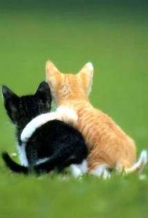 Ecco cos'� che rende piacevoli carezze e abbracci.