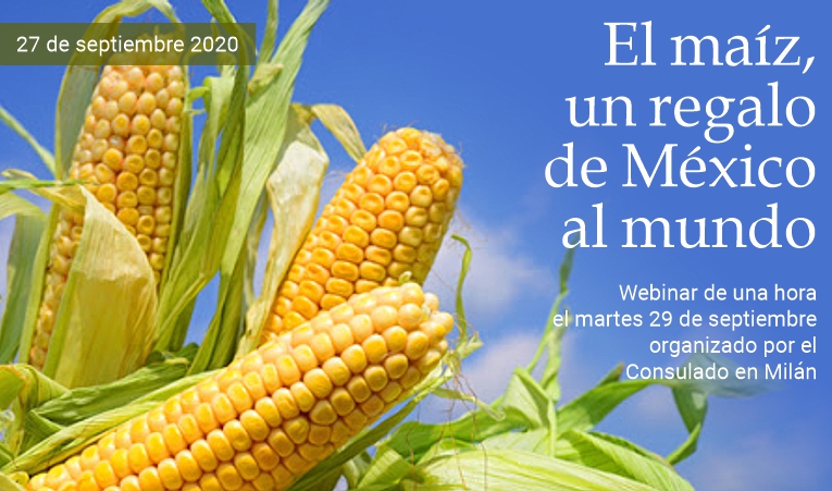 El ma�z, un regalo de M�xico al mundo